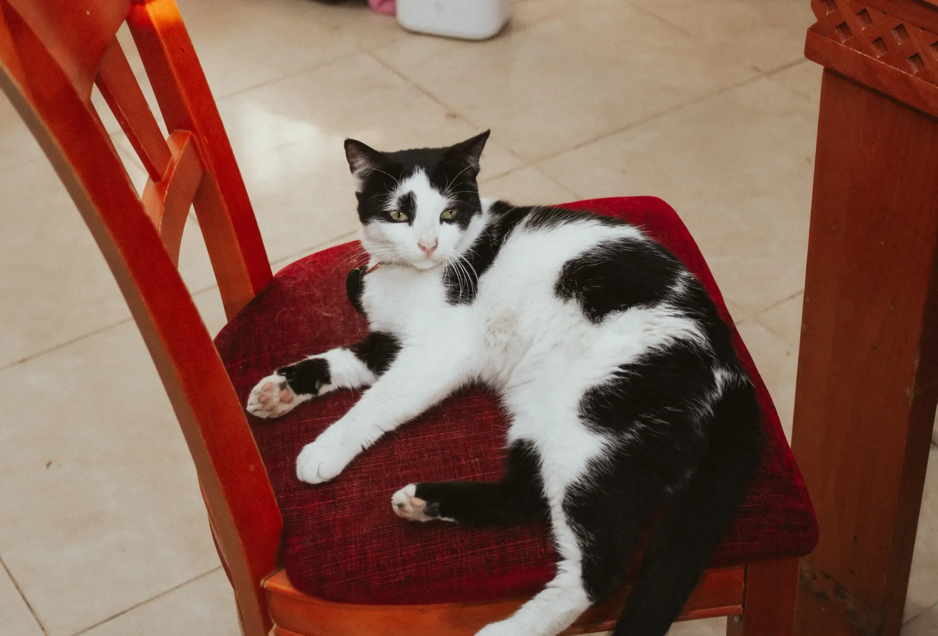 Kaffebox Advent Calendar Day 23